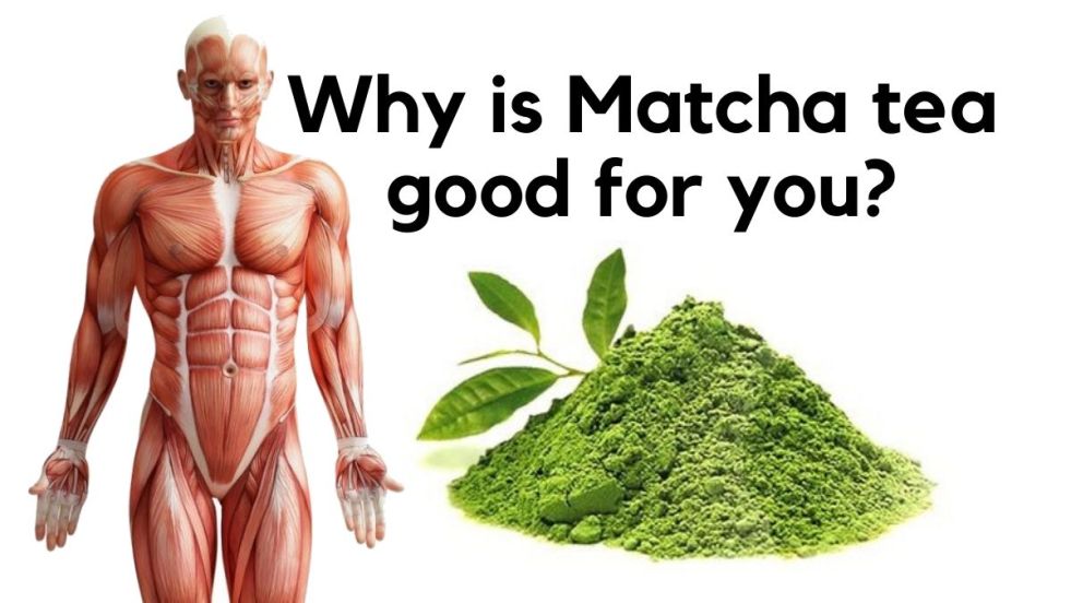 Buy Matcha Tea Online India