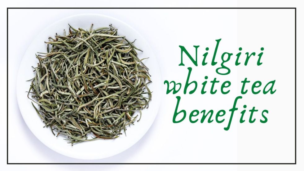 Nilgiri Tea Online