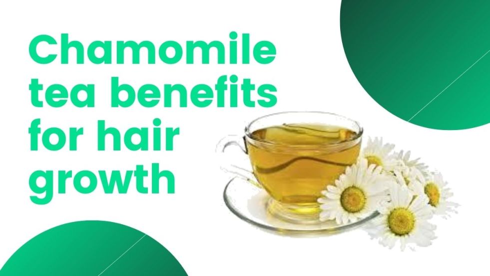 buy chamomile tea online